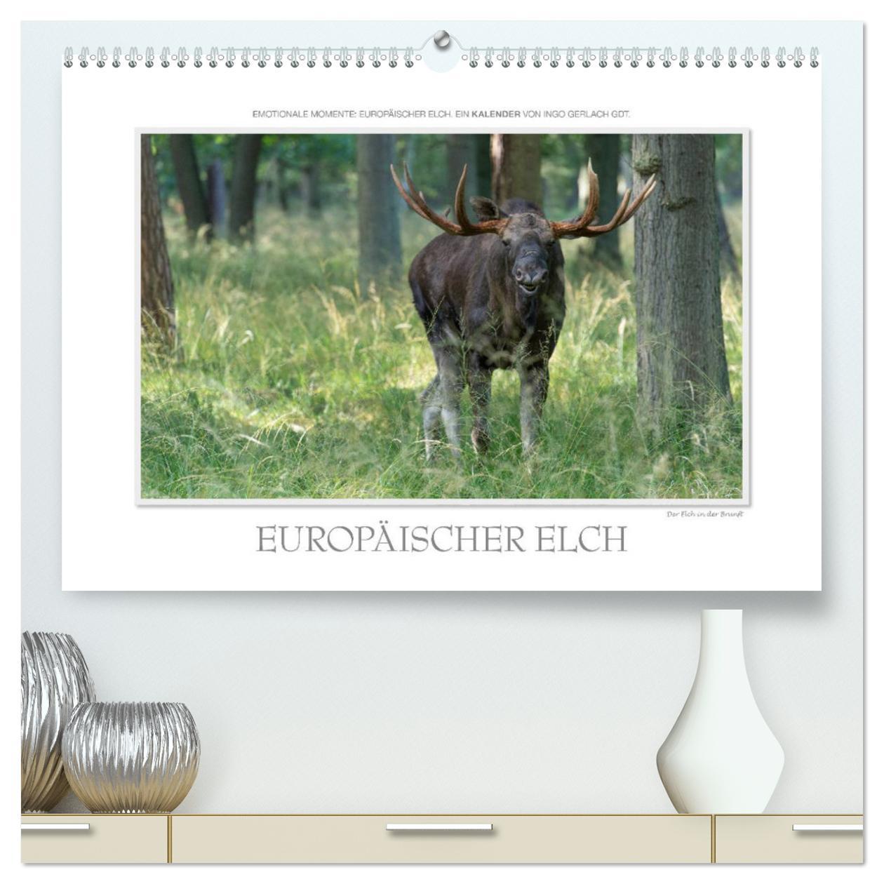 Kalendář/Diář Emotionale Momente: Europäischer Elch. / CH-Version (hochwertiger Premium Wandkalender 2024 DIN A2 quer), Kunstdruck in Hochglanz 