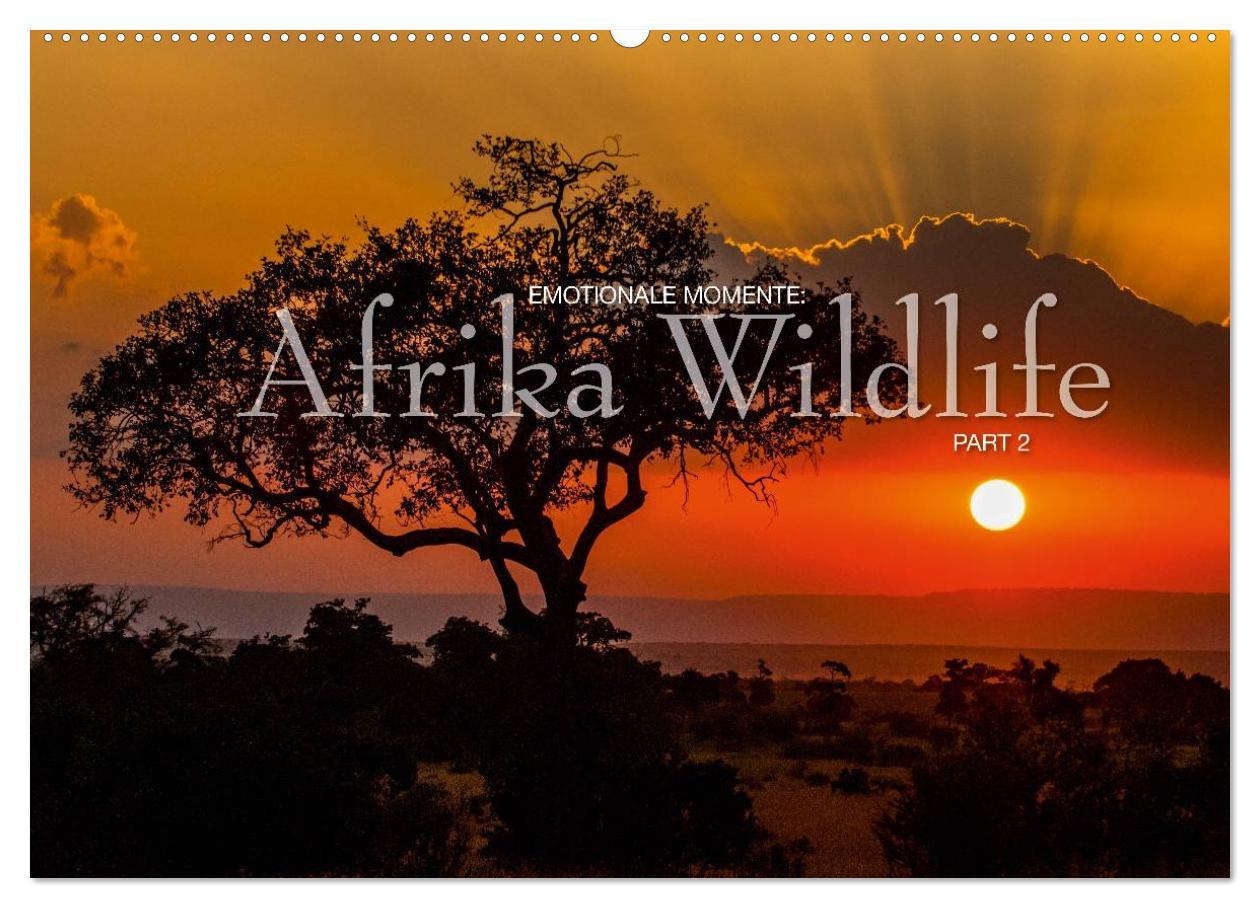 Calendar/Diary Emotionale Momente: Afrika Wildlife Part 2 / CH-Version (Wandkalender 2024 DIN A2 quer), CALVENDO Monatskalender 