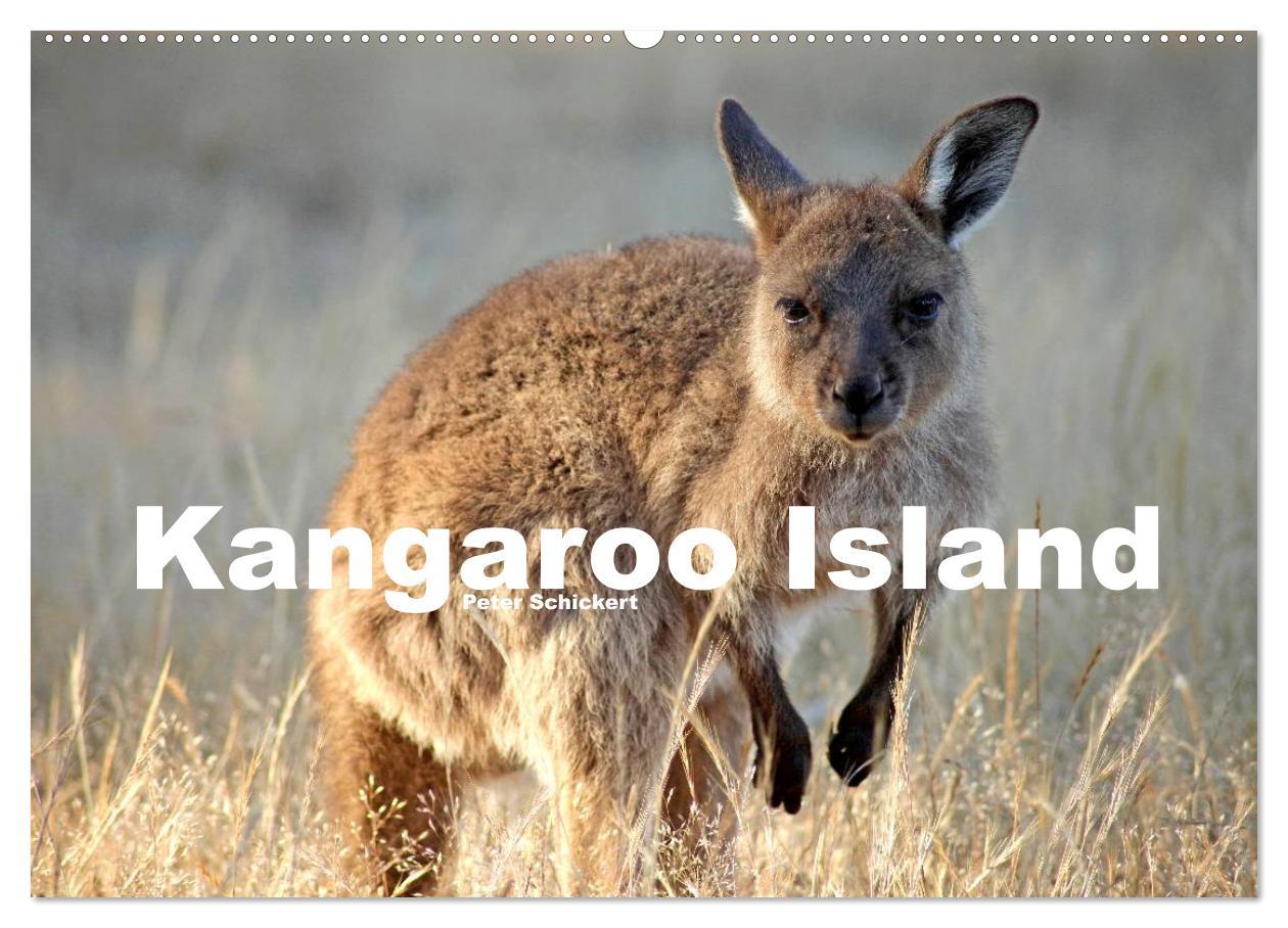 Calendar / Agendă Kangaroo Island (Wandkalender 2024 DIN A2 quer), CALVENDO Monatskalender 