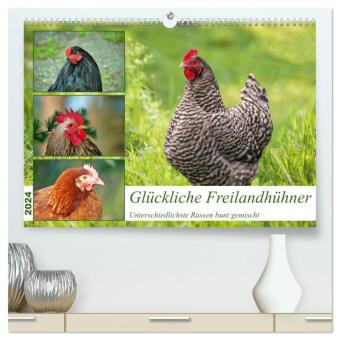 Kalendarz/Pamiętnik Glückliche Freilandhühner (hochwertiger Premium Wandkalender 2024 DIN A2 quer), Kunstdruck in Hochglanz 