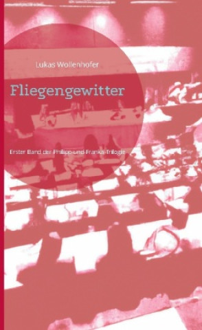 Knjiga Fliegengewitter 