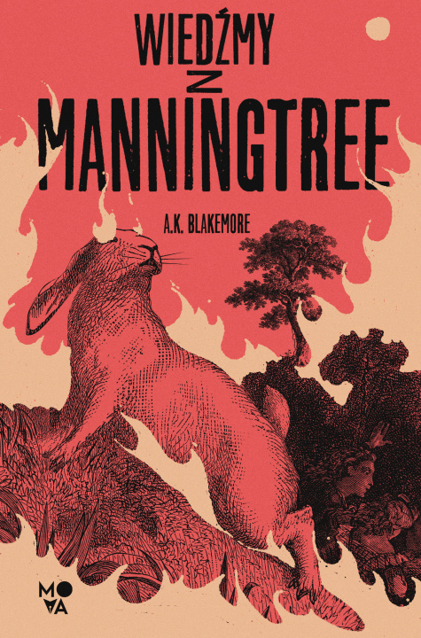 Libro Wiedźmy z Manningtree Blakemore A.K.