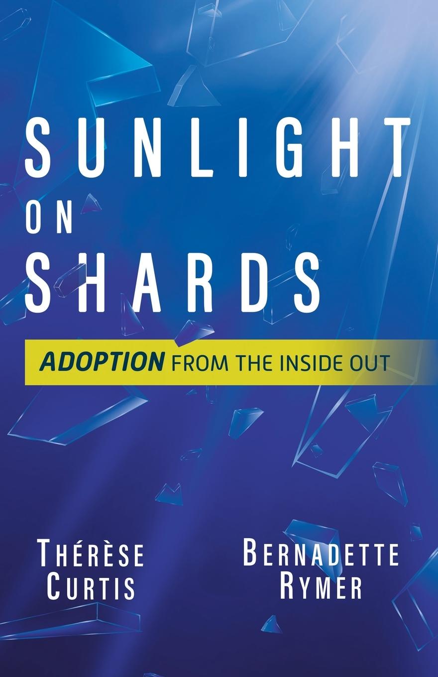 Knjiga Sunlight on Shards Thér?se Curtis
