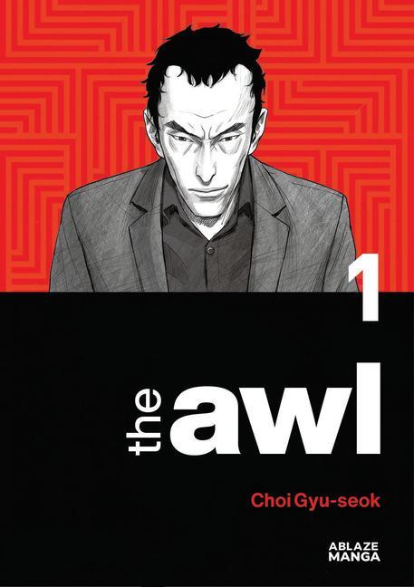 Kniha The Awl Vol 1 