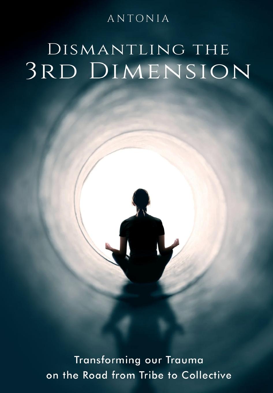 Knjiga Dismantling the 3rd Dimension Antonia