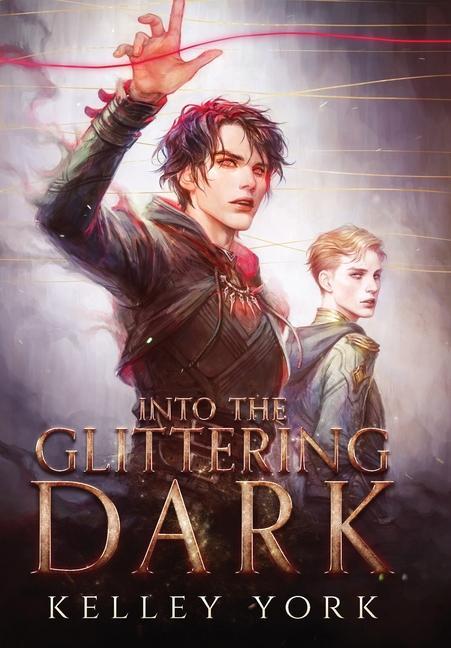 Könyv Into the Glittering Dark Karen Meeus