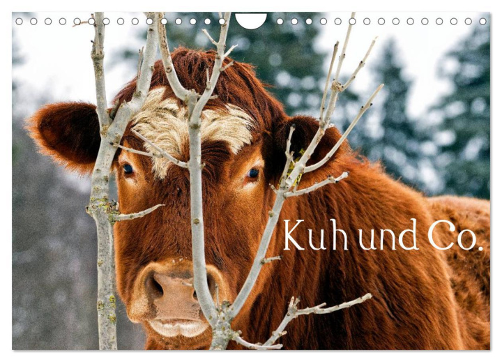 Kalendář/Diář Kuh und Co. (Wandkalender 2024 DIN A4 quer), CALVENDO Monatskalender 