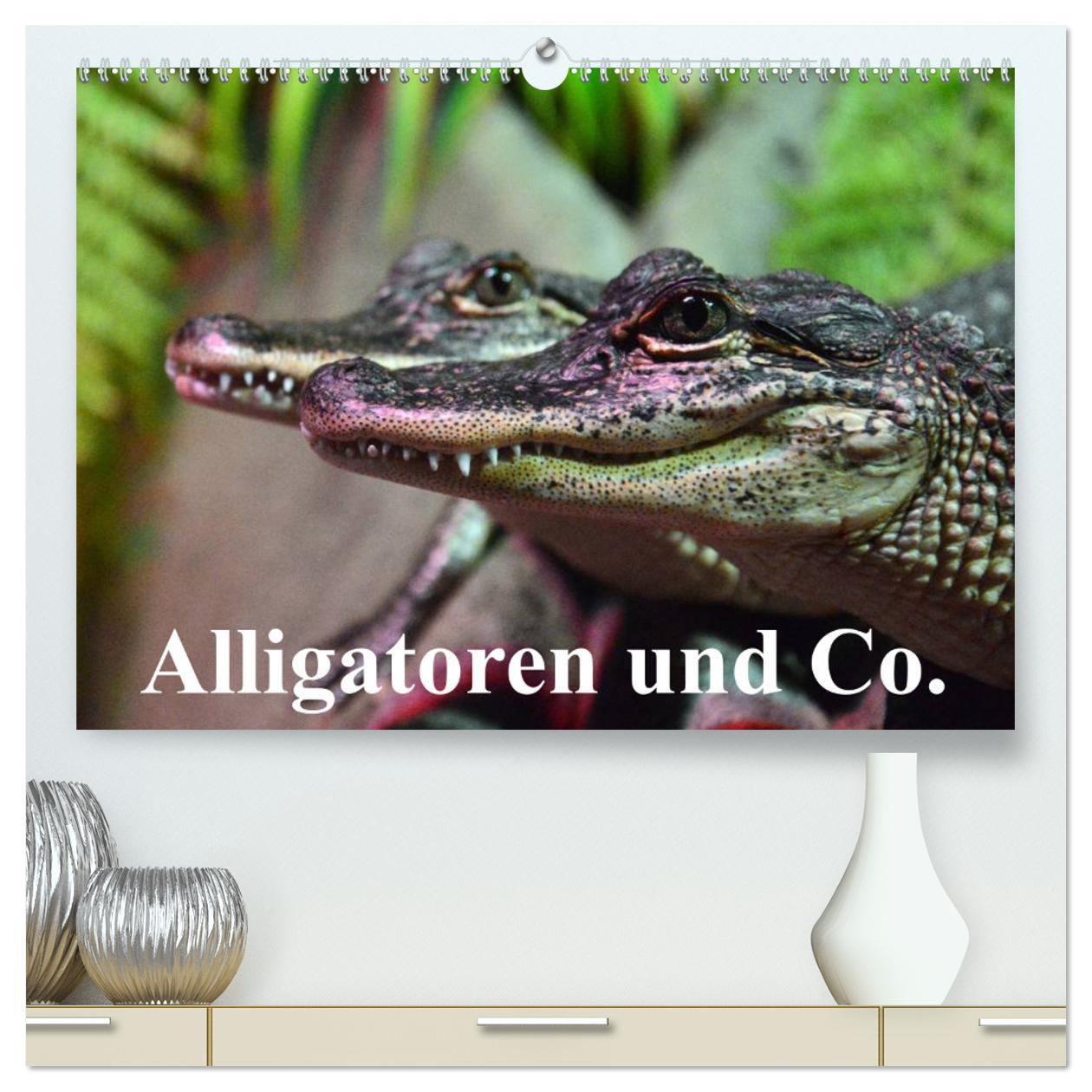 Kalendář/Diář Alligatoren und Co. (hochwertiger Premium Wandkalender 2024 DIN A2 quer), Kunstdruck in Hochglanz 