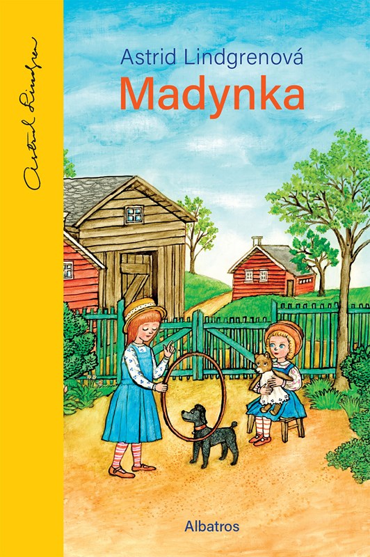 Kniha Madynka 