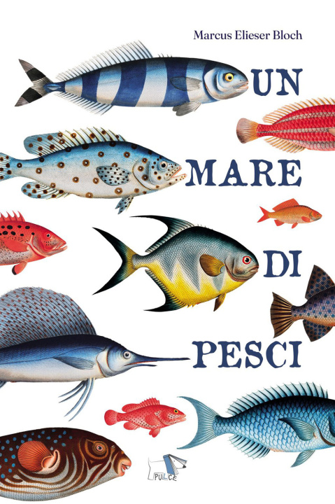 Книга mare di pesci Marcus Elieser Bloch