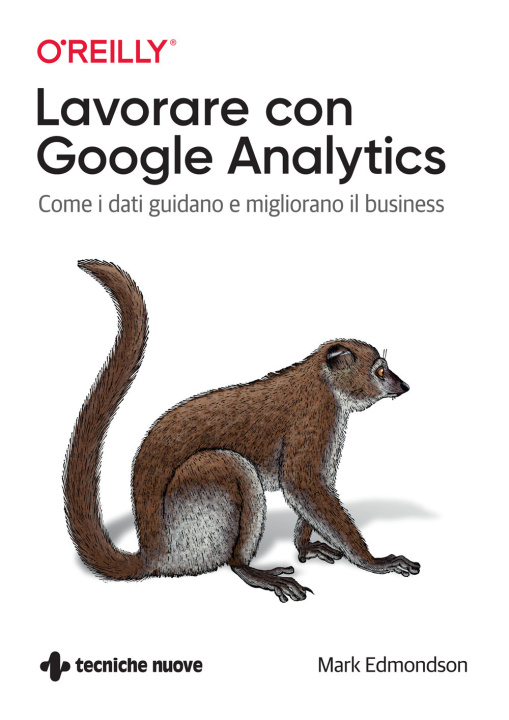 Könyv Lavorare con Google Analytics. Come i dati guidano e migliorano il business Mark Edmondson