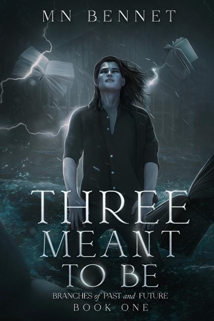 Könyv Three Meant To Be 