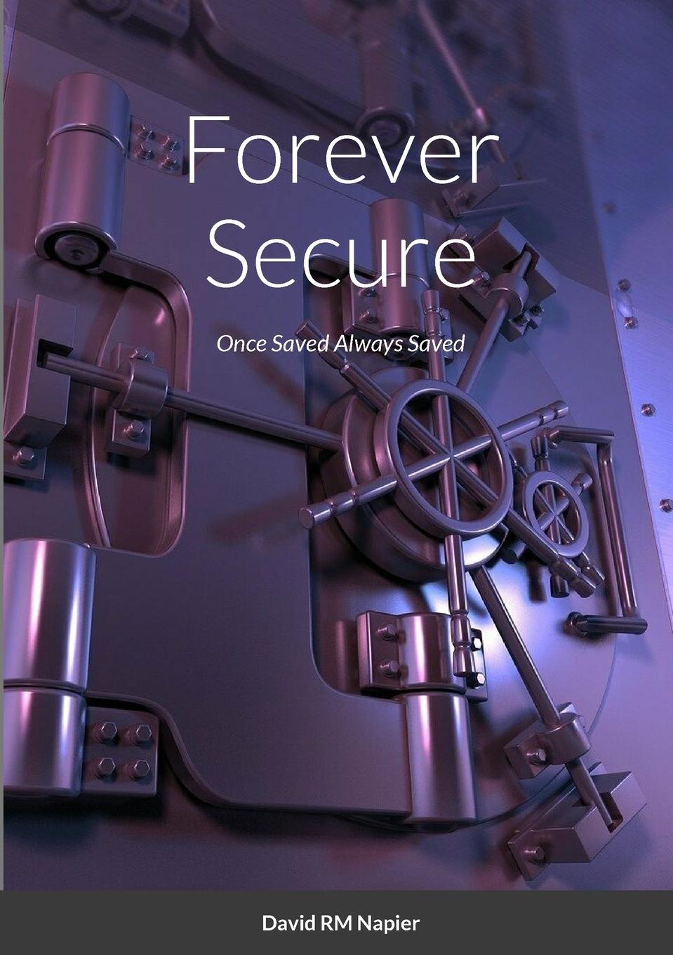 Knjiga Forever Secure David Napier