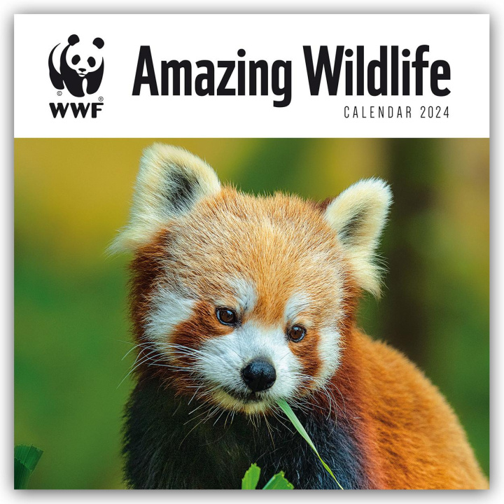 Календар/тефтер WWF Amazing Wildlife - Faszinierende Tierwelt 2024 