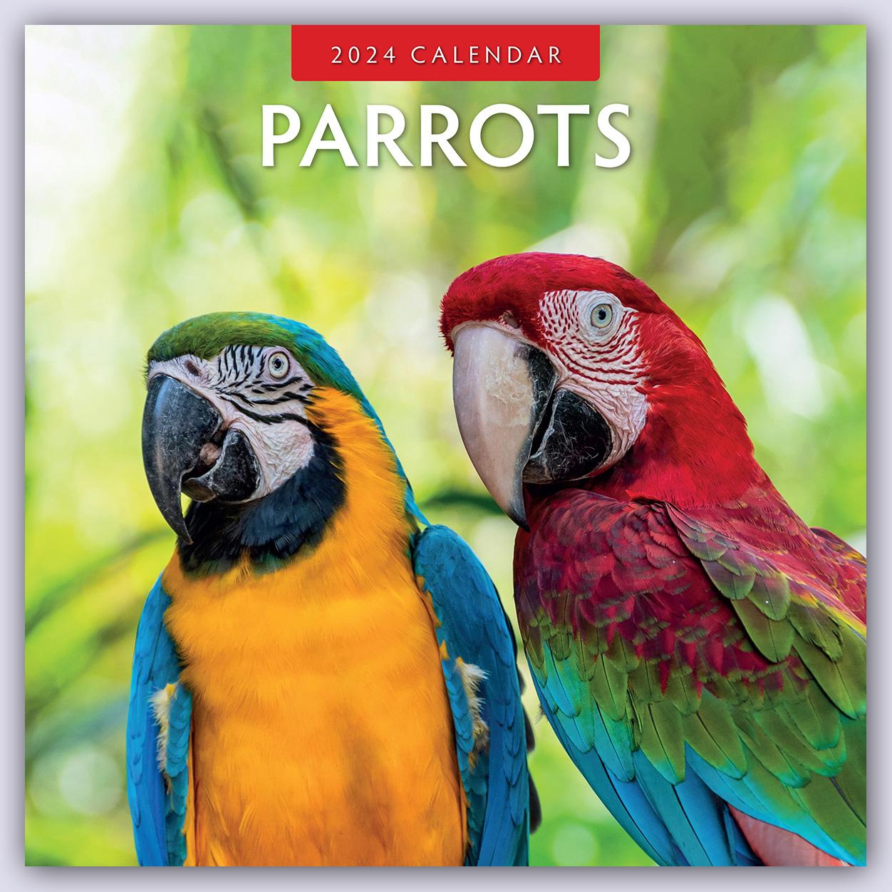 Calendar / Agendă Parrots - Papageien 2024 - 16-Monatskalender 