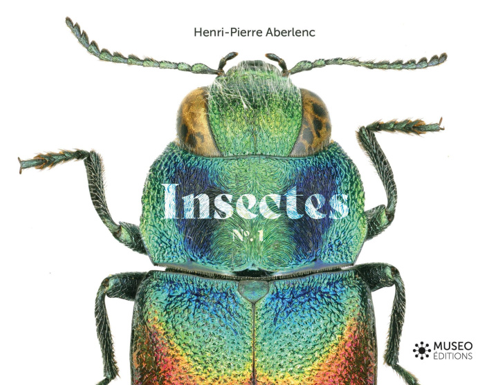 Carte Insectes Aberlenc