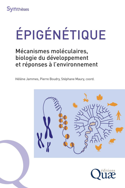 Buch Épigénétique Maury
