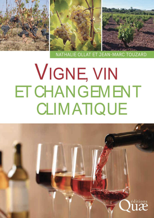 Книга Vigne, vin et changement climatique Touzard