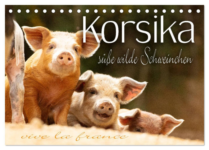 Naptár/Határidőnapló Korsika - süße, wilde Schweinchen (Tischkalender 2024 DIN A5 quer), CALVENDO Monatskalender Monika Schöb