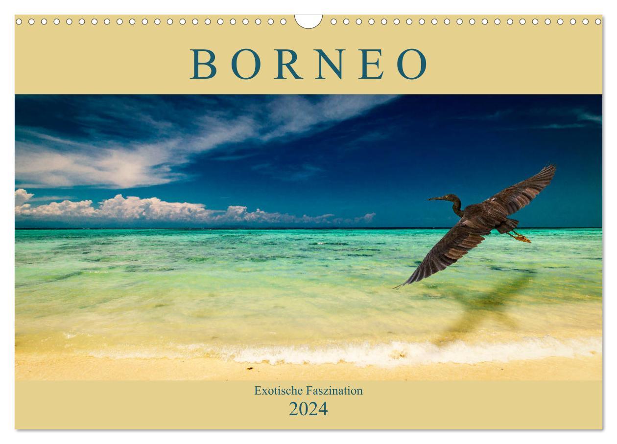 Kalendár/Diár Borneo - Exotische Faszination (Wandkalender 2024 DIN A3 quer), CALVENDO Monatskalender Arne Wünsche
