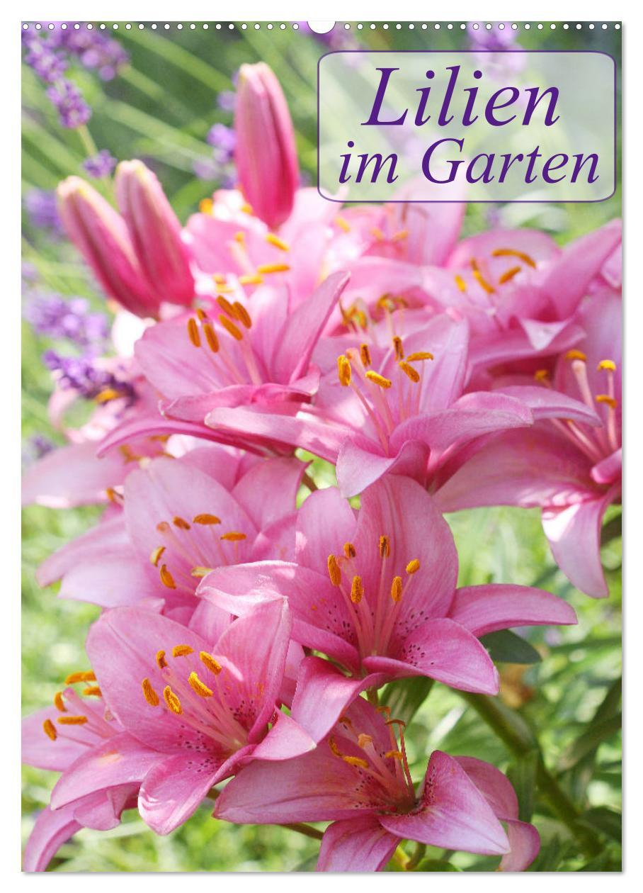Naptár/Határidőnapló Lilien im Garten (Wandkalender 2024 DIN A2 hoch), CALVENDO Monatskalender Gisela Kruse
