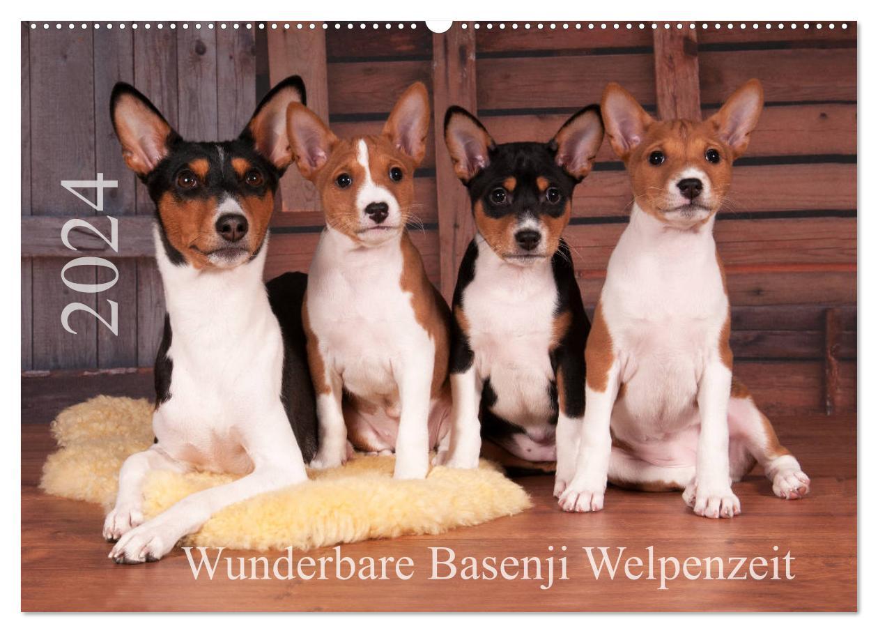 Kalendář/Diář Wunderbare Basenji Welpenzeit (Wandkalender 2024 DIN A2 quer), CALVENDO Monatskalender Angelika Joswig