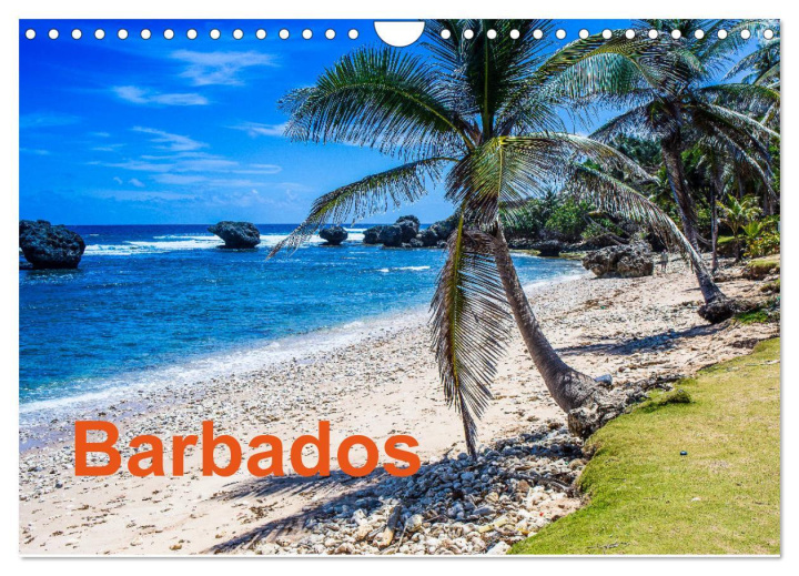 Calendar / Agendă Barbados (Wandkalender 2024 DIN A4 quer), CALVENDO Monatskalender Volker Krahn