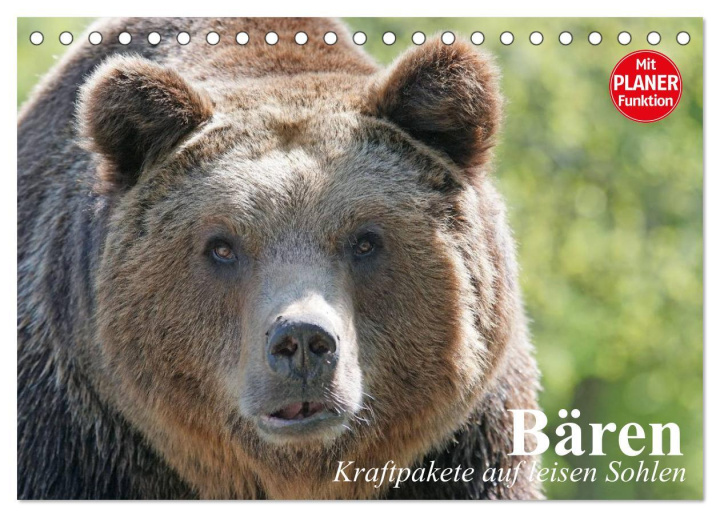 Calendar / Agendă Bären. Kraftpakete auf leisen Sohlen (Tischkalender 2024 DIN A5 quer), CALVENDO Monatskalender Elisabeth Stanzer