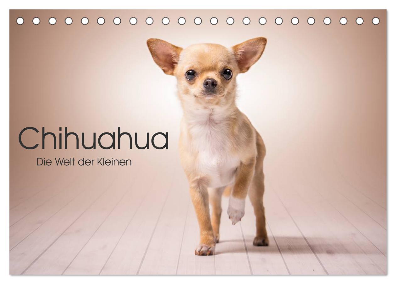 Naptár/Határidőnapló Chihuahua - Die Welt der Kleinen (Tischkalender 2024 DIN A5 quer), CALVENDO Monatskalender Schuberts-Fotografie