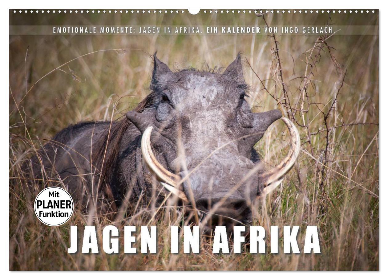 Calendar/Diary Emotionale Momente: Jagen in Afrika. (Wandkalender 2024 DIN A2 quer), CALVENDO Monatskalender Ingo Gerlach