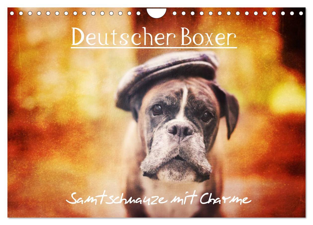 Calendar / Agendă Deutscher Boxer (Wandkalender 2024 DIN A4 quer), CALVENDO Monatskalender Kerstin Mielke
