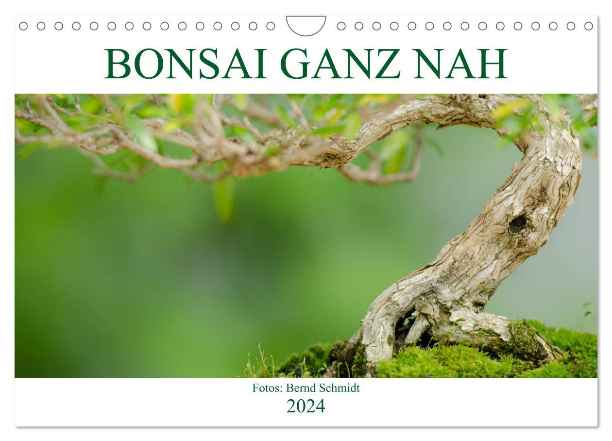 Kalendarz/Pamiętnik Bonsai ganz nah (Wandkalender 2024 DIN A4 quer), CALVENDO Monatskalender Bernd Schmidt