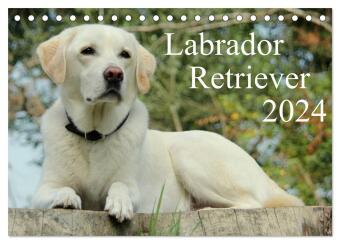 Kalendarz/Pamiętnik Labrador Retriever 2024 (Tischkalender 2024 DIN A5 quer), CALVENDO Monatskalender Anita Schreuer