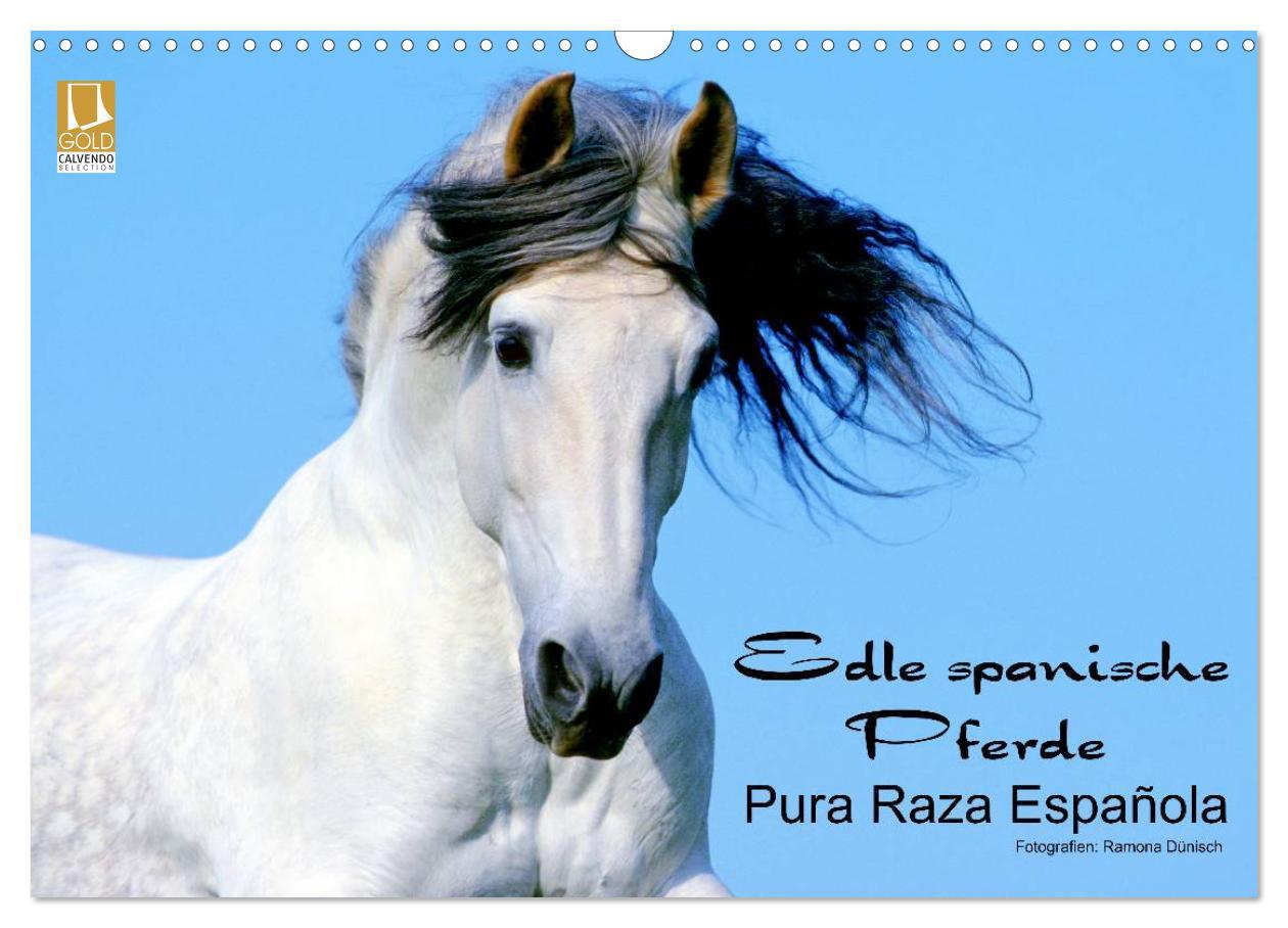 Naptár/Határidőnapló Edle spanische Pferde - Pura Raza Espanola (Wandkalender 2024 DIN A3 quer), CALVENDO Monatskalender Ramona Dünisch www.Ramona-Duenisch.de
