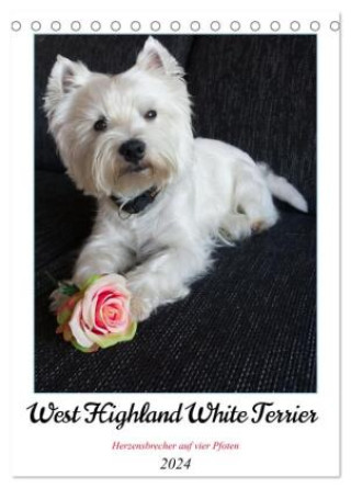 Kalendář/Diář West Highland White Terrier - Herzensbrecher auf vier Pfoten (Tischkalender 2024 DIN A5 hoch), CALVENDO Monatskalender Angela Rohde