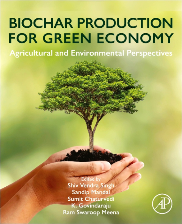 Kniha Biochar Production for Green Economy Shiv Vendra Singh