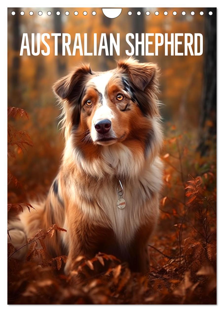 Kalender/Terminbuch Australian Shepherd (Wandkalender 2024 DIN A4 hoch), CALVENDO Monatskalender Tim Alberts