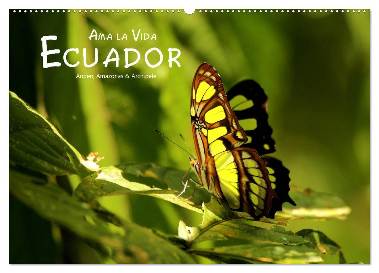 Kalendář/Diář Ama la Vida Ecuador (Wandkalender 2024 DIN A2 quer), CALVENDO Monatskalender Dirk Stamm