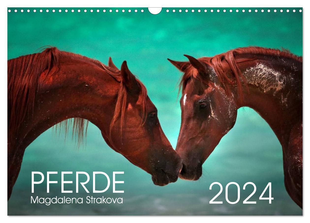 Kalendar/Rokovnik Pferde - Magdalena Strakova (Wandkalender 2024 DIN A3 quer), CALVENDO Monatskalender Magdalena Strakova