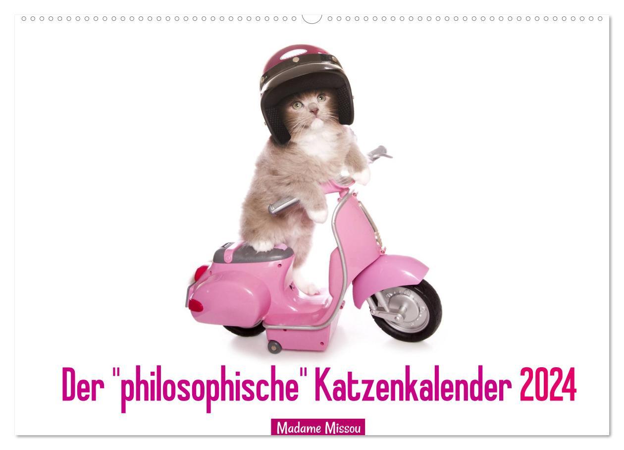 Kalendář/Diář Der "philosophische" Katzenkalender 2024 (Wandkalender 2024 DIN A2 quer), CALVENDO Monatskalender Madame Missou