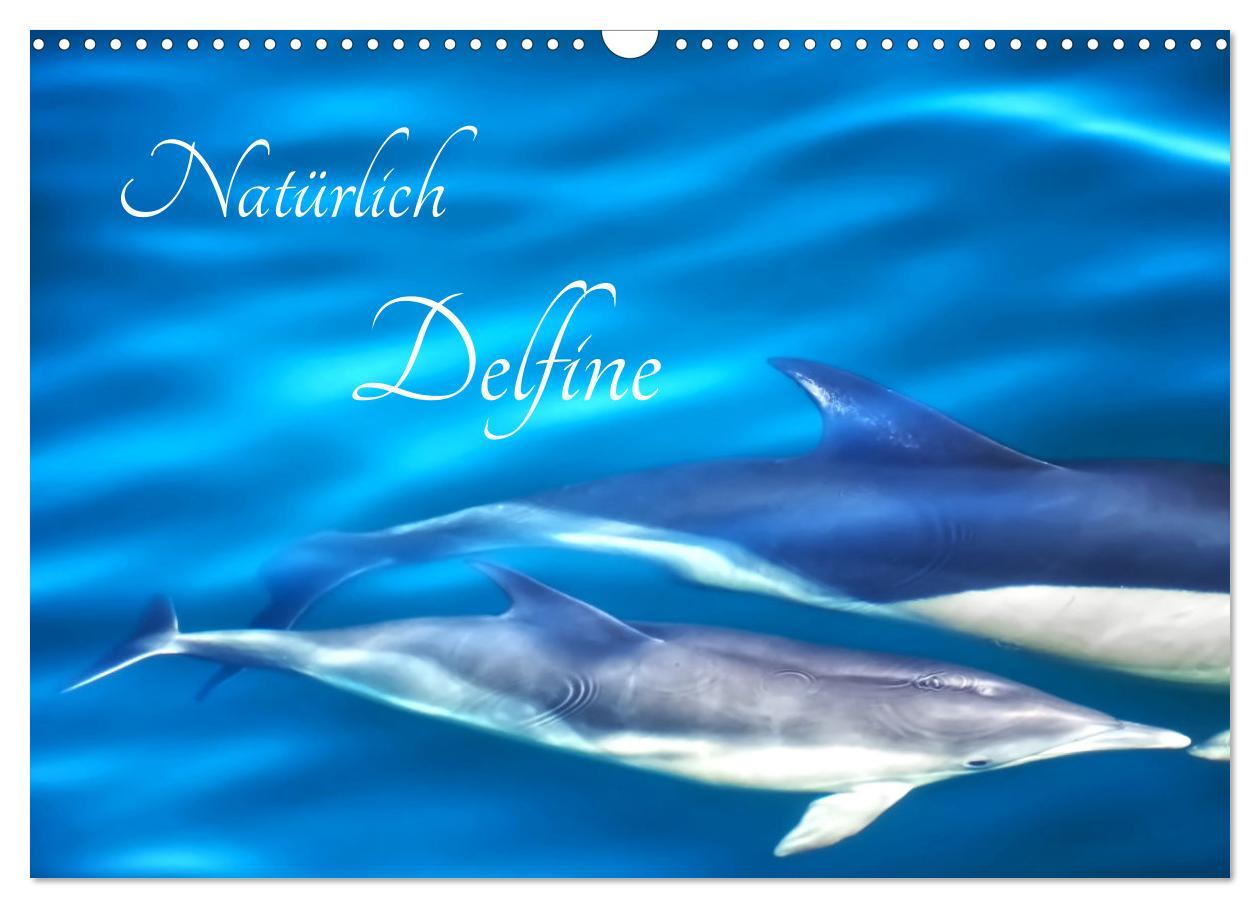 Kalendář/Diář Natürlich Delfine (Wandkalender 2024 DIN A3 quer), CALVENDO Monatskalender Marion Meyer - Stimmungsbilder1