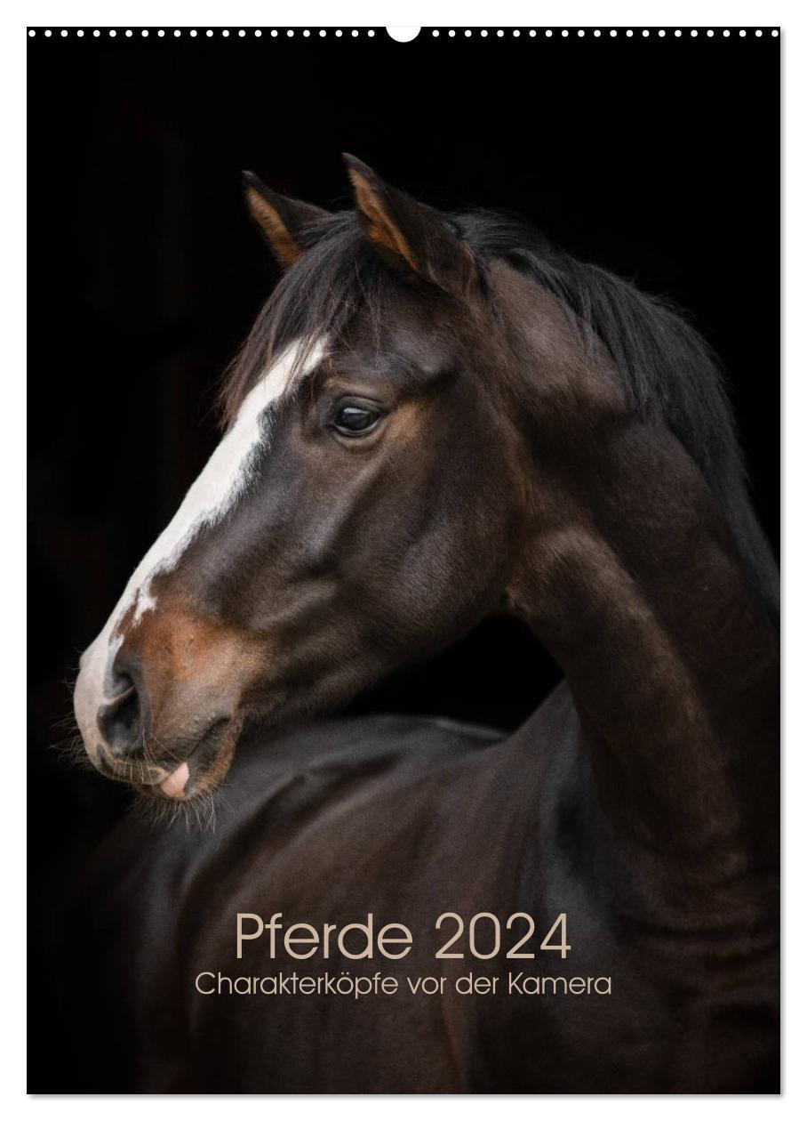Kalendar/Rokovnik Pferde 2024 - Charakterköpfe vor der Kamera (Wandkalender 2024 DIN A2 hoch), CALVENDO Monatskalender Paula Müller
