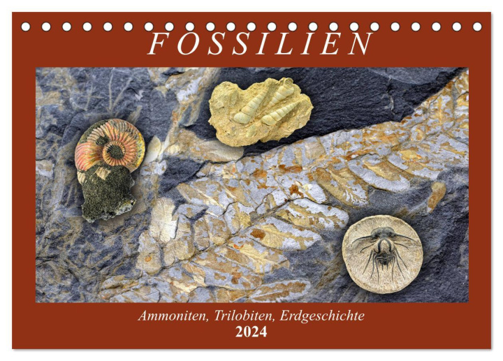 Calendar / Agendă Fossilien - Ammoniten, Trilobiten, Erdgeschichte (Tischkalender 2024 DIN A5 quer), CALVENDO Monatskalender Anja Frost