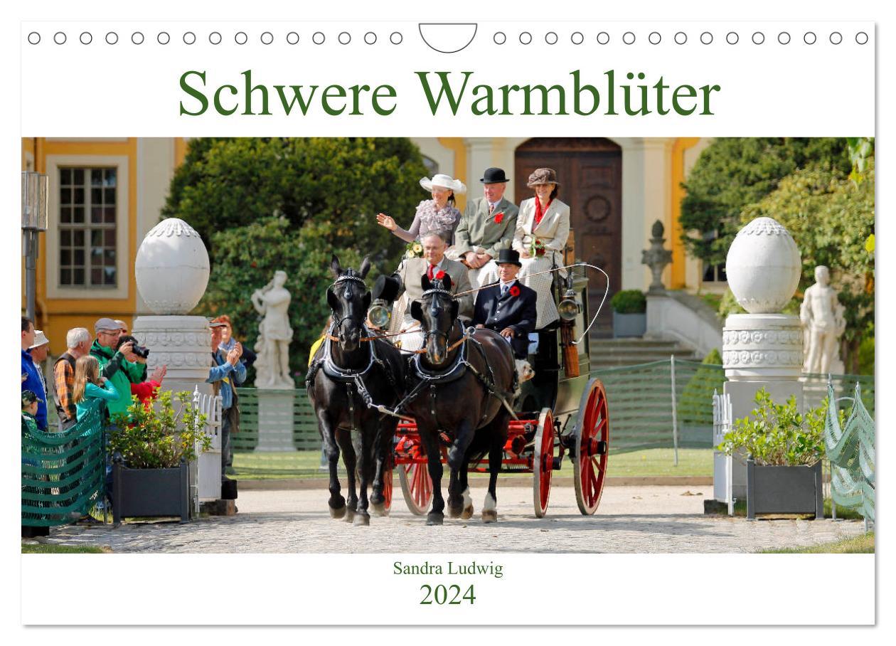 Kalendarz/Pamiętnik Schwere Warmblüter 2024 (Wandkalender 2024 DIN A4 quer), CALVENDO Monatskalender Sandra Ludwig