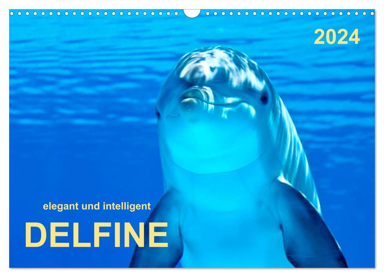 Naptár/Határidőnapló Delfine - elegant und intelligent (Wandkalender 2024 DIN A3 quer), CALVENDO Monatskalender Peter Roder