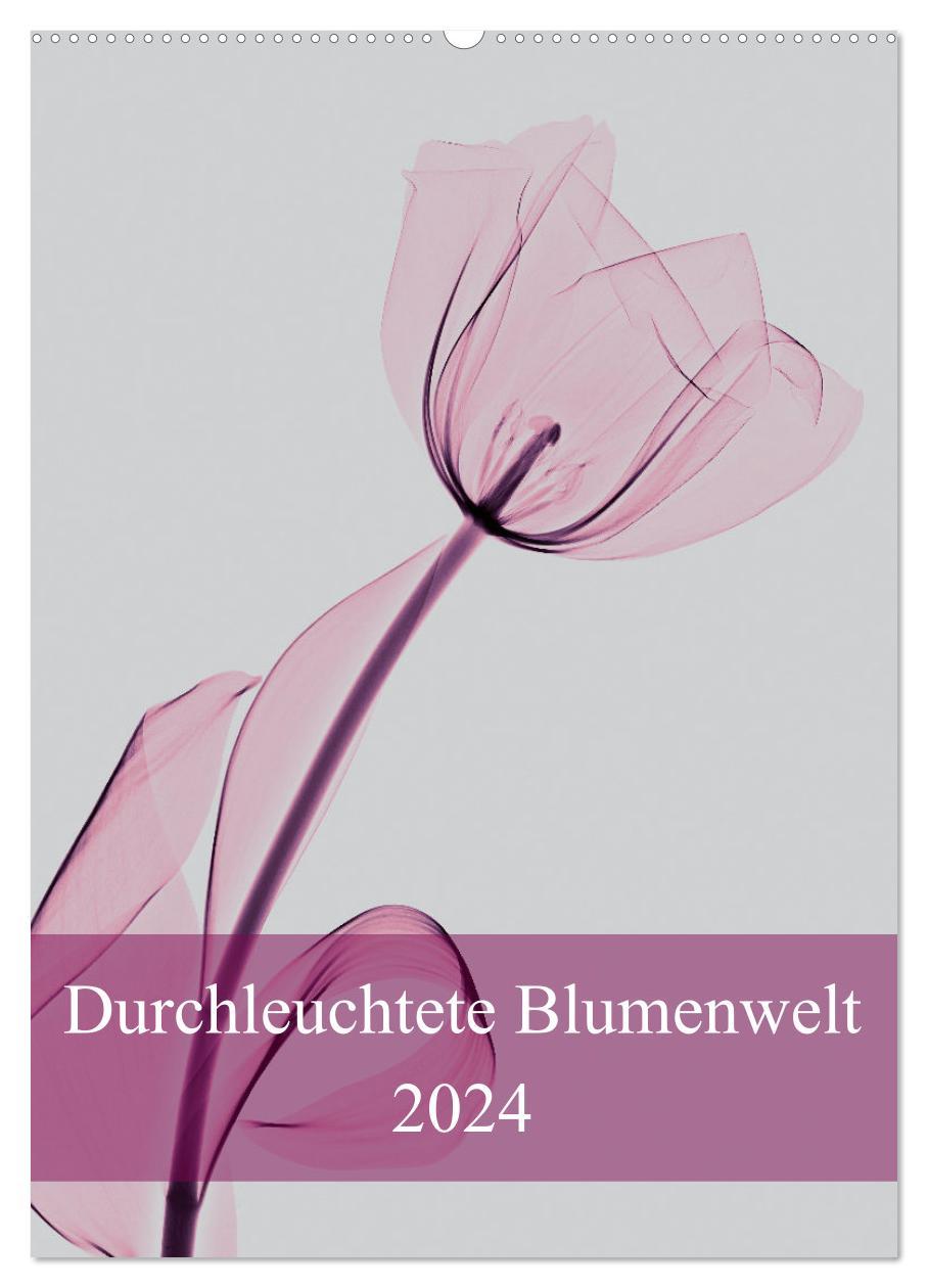 Kalendář/Diář Durchleuchtete Blumenwelt 2024 (Wandkalender 2024 DIN A2 hoch), CALVENDO Monatskalender Aleksandar Reba