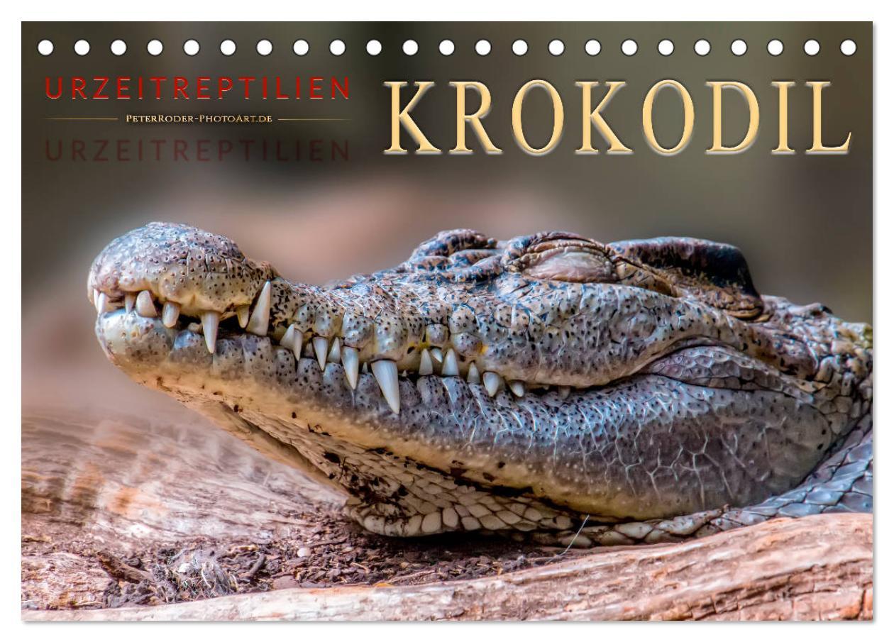Naptár/Határidőnapló Urzeitreptilien - Krokodil (Tischkalender 2024 DIN A5 quer), CALVENDO Monatskalender Peter Roder