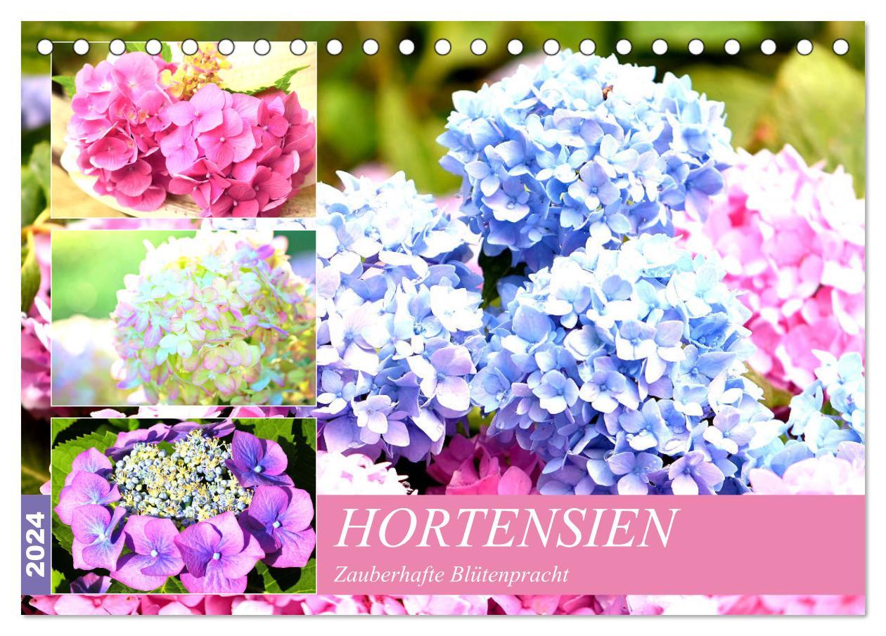 Naptár/Határidőnapló Hortensien. Zauberhafte Blütenpracht (Tischkalender 2024 DIN A5 quer), CALVENDO Monatskalender Rose Hurley