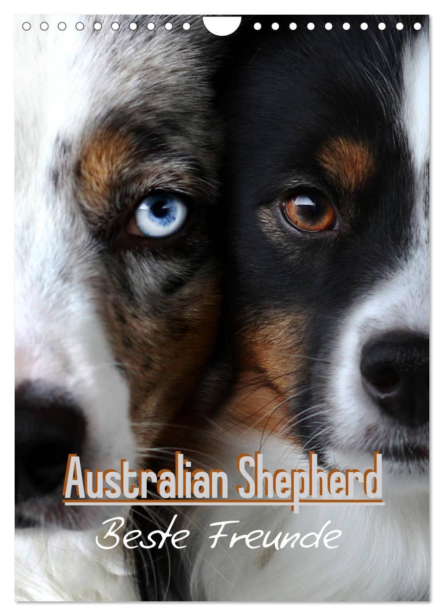 Calendar / Agendă Australian Shepherd - Beste Freunde (Wandkalender 2024 DIN A4 hoch), CALVENDO Monatskalender Youlia
