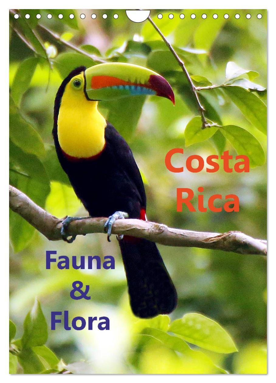 Kalendarz/Pamiętnik Costa Rica - Fauna & Flora (Wandkalender 2024 DIN A4 hoch), CALVENDO Monatskalender Dirk Stamm